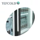 Vitrină frigorifică Tefcold, 1329 litri, ușă de sticlă, ventilație