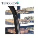 Frigider Tefcold cu vitrină, 100 litri, sticlă frontală curbată, ventilație