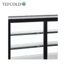 Frigider Tefcold cu vitrină, 100 litri, sticlă frontală curbată, ventilație