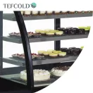 Frigider Tefcold cu vitrină, 328 litri, sticlă frontală curbată, ventilație