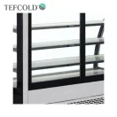 Frigider Tefcold cu vitrină, 328 litri, sticlă frontală curbată, ventilație